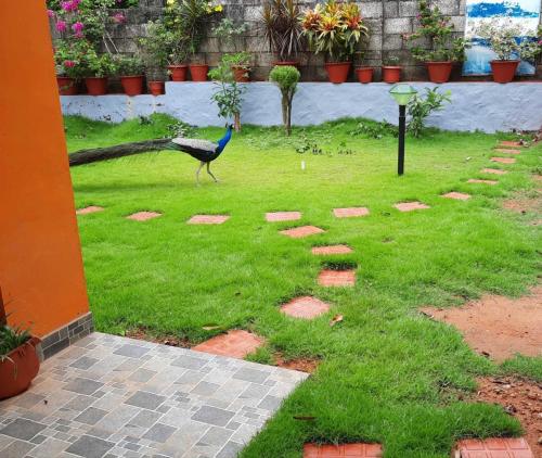 Gokulam Homestay and Apartment Kovalam