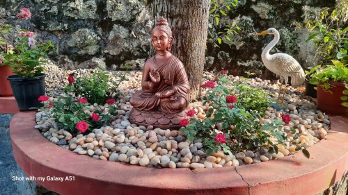 Gokulam Homestay and Apartment, Kovalam